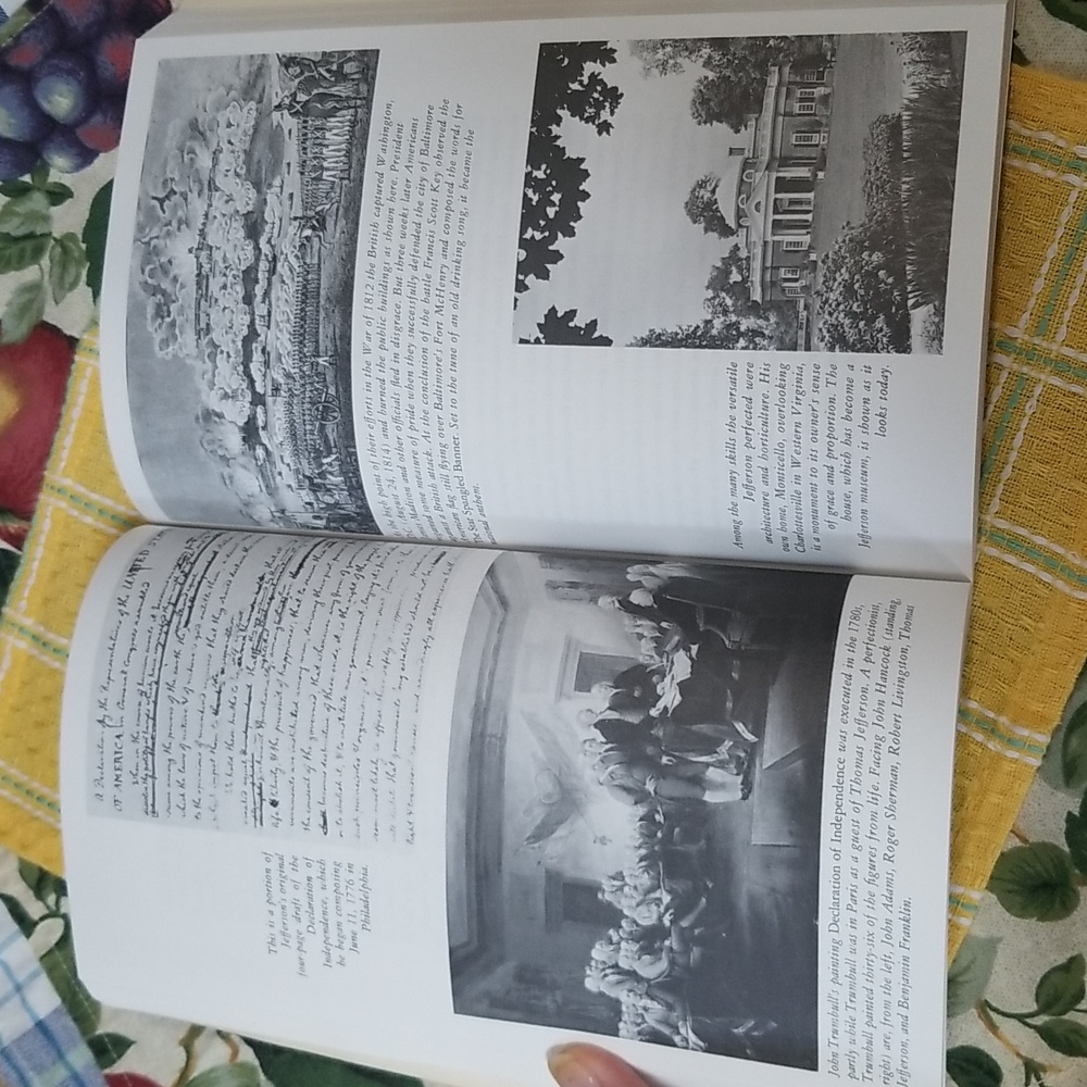 📚FROM THESE BEGINNINGS - Picture 7 of 12